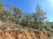 Terreno rústico com 11600m² Vale da Lapa, Chãos