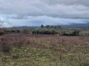 Terreno Rustico 13 Hectares