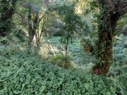 Terreno Rustico com 1490m2, em Gondomar, Porto