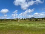 Terreno Rústico com 14,023 ha + Terreno Urbano para...