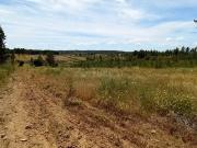 Terreno rustico com 16858m2 localizado na localidade de...