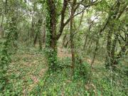 Terreno Rústico com 1880m² e com poço Igreja Nova do...