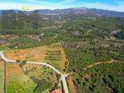 Terreno rústico com 1.2hectares, na aldeia de Sobral do...