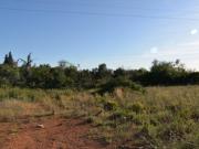 Terreno rústico com 1.560 m2, localizado em Boavista Olhão