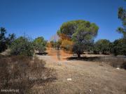 TERRENO RUSTICO COM 22.320 M2 POSSIBILIDADE DE CONSTRUIR...