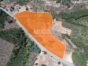 TERRENO RÚSTICO COM 24.000M2 EM BOUÇA, MIRANDELA