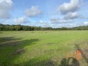 Terreno Rustico com 24.280m2 a 2Km do centro de Pero...