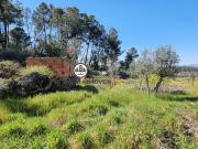 Terreno Rústico com 2.750 m2,Póvoa Rio de Moinhos,...