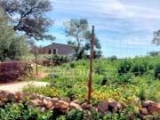 Terreno Rustico com Casa