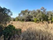 Terreno rústico com 3420 m²