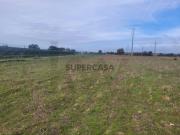 TERRENO RÚSTICO COM 3820M2 PARA VENDA EM ARRANCADA TUNES