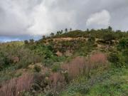 Terreno Rústico em Javali