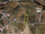 Terreno rústico com 5.129m2 no Varatojo, Torres Vedras,...