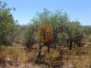 Terreno rústico com 5.160 m2 próximo a foz de odeleite...
