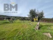 Terreno rústico com 6360m2 para venda no Freixial do Campo!