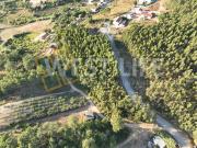 Terreno Rústico com 6598m2 Bons acessos Eucaliptal Junto...