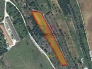 Terreno Rústico com 6.200 m² em Almoster