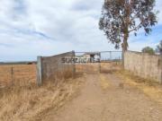 Terreno Rústico com 6.6ha em Aljustrel
