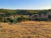 TERRENO RÚSTICO COM 6,82 Hectares em Alqueva com Ruína e...