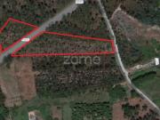 Terreno rústico com 7200M2 Cantanhede