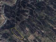 Terreno Rústico com 7,1 Ha em União das Freguesias de...