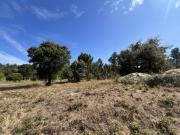 Terreno rústico com 801m2 em Monte Real