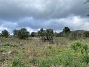Terreno Rustico com 8 600m2, Salir, Algarve