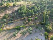 Terreno rústico com 920m2, para venda, em Juncal do Campo