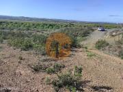 TERRENO RUSTICO COM 9.520 M2 VISTA DO RIO GUADIANA VALE...