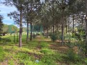 Terreno Rústico Com Acesso no Rogil