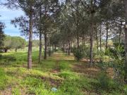 Terreno Rústico Com Acesso no Rogil