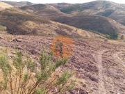 Terreno Rustico com água na serra da Conceição de Tavira