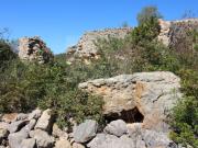 Terreno Rústico com arrumo agricola 7,5 Hectares |...