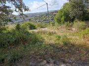 TERRENO RÚSTICO, COM BOM ACESSO E BOA VISTA, A 5 KMS DE...