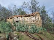 Terreno Rústico com dependência agrícola no Sidral/Covões