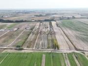 Terreno Rústico com Olival Produtivo e Anexos Almeirim...