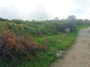 Terreno rústico com plano para 2 Lotes, Tapada da Serra,...