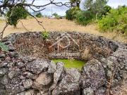 Terreno Rústico com Poço, Árvores de Fruto e Bons...