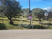 Terreno rústico com possibilidade de construção