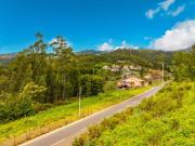 Terreno Rústico com Potencial em Gaula