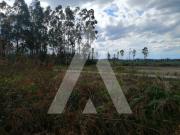 Terreno Rústico com viabilidade de construção industrial