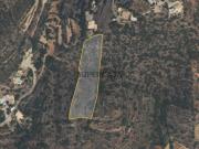 Terreno Rústico com Vista Mar em Alcaria Cova