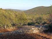 Terreno Rústico com Parcial Vista Mar em Azinheiro