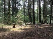 TERRENO RUSTICO CON CABAÑAS CON FRENTE A CARRETERA DE...