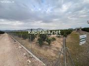 TERRENO RUSTICO CON CASETA DE APEROS, A LA VENTA EN XATIVA
