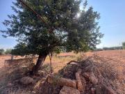 ️ Terreno rústico con vistas y proyecto de futuro cerca...