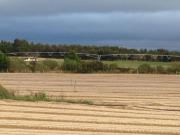 Terreno rústico de 13700m2 no Montijo