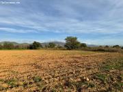 Terreno rústico de 23.000 m² en Garriguella – Un entorno...