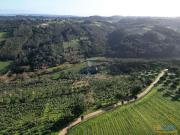 Terreno Rústico de 27.8 hectares em Óbidos | 25063976787