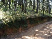 Terreno Rústico de 564 m² en Venta Mineral del Monte –...